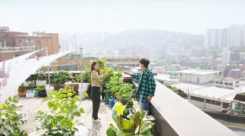 rooftop-apartment-scene